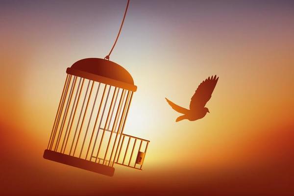 the-freedom-of-a-bird-leaving-its-cage-vector
